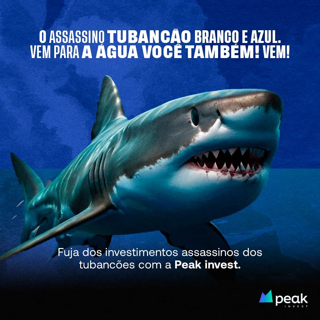 Projeto para Peak Invest